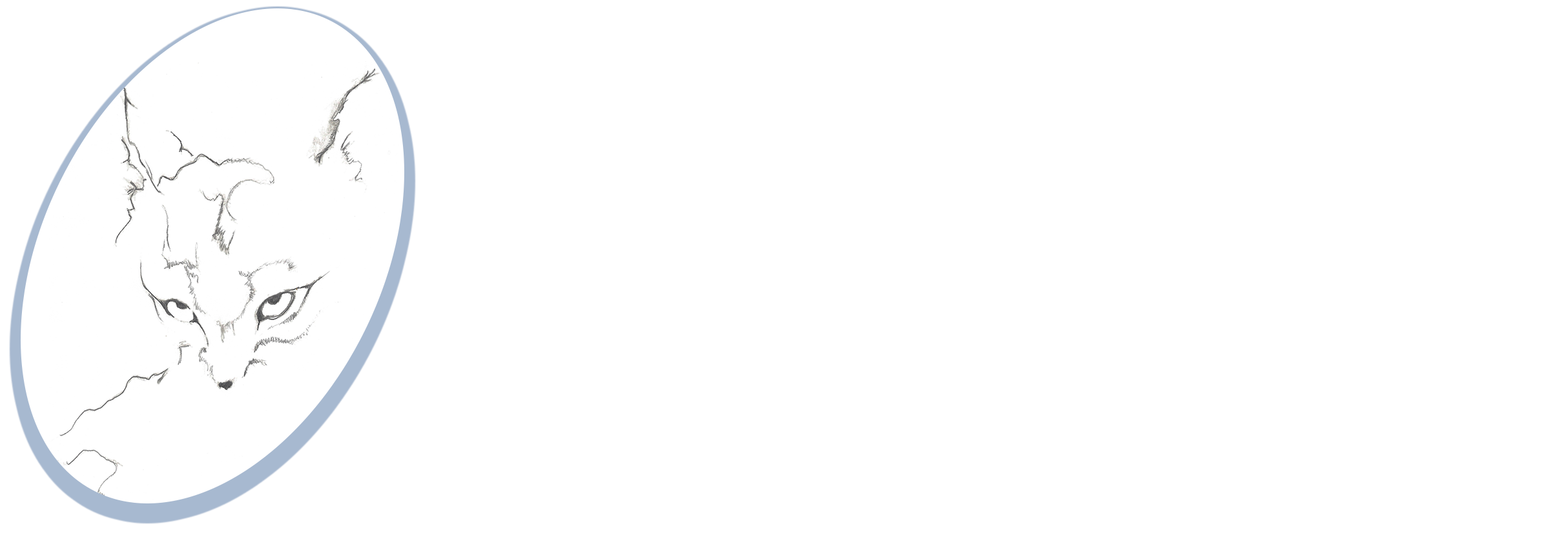 SalesLynx LLC